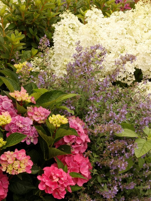 Cottage-Garden-2