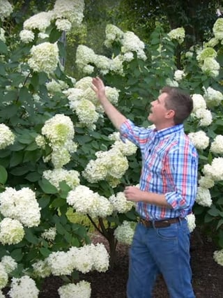 Dr. Judson LeCompte points to a panicle hydrangea while giving tips about how to grow them in the South.