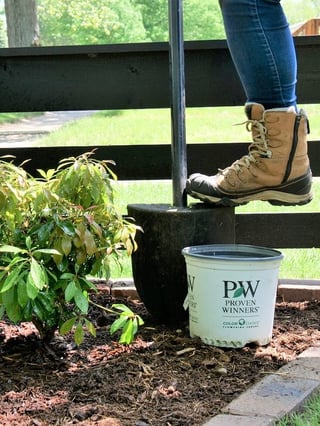 A gardener gets ready to plant a Proven Winners ColorChoice Shrub in the fall.