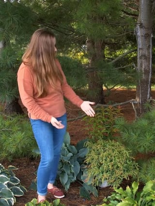 A gardener shows a plant pairing that uses good texture balance, similar light requirements, and nicely staggered mature height and widths.