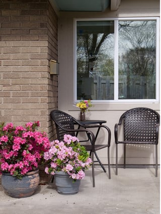 Rhododendron Perfecto Mundo Double Dark Pink in a container on a patio.