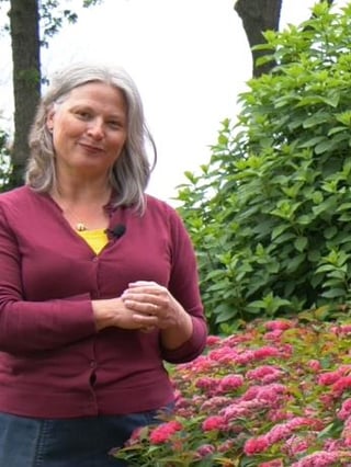 Stacey Hirvela and a prolifically blooming Double Play Doozie spirea.