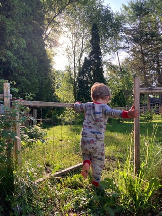 A child-safe garden welcoming a toddler in the morning.